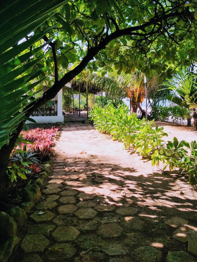 Panga Chumvi Beach Resort Matemwe  Eksteriør bilde