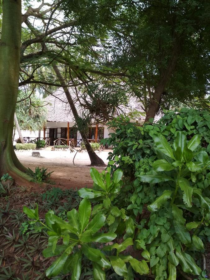 Panga Chumvi Beach Resort Matemwe  Eksteriør bilde